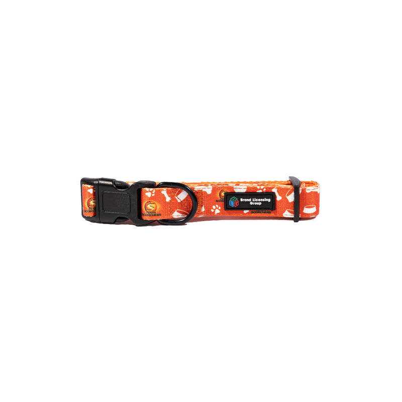 BBL Perth Scorchers Dog Collar