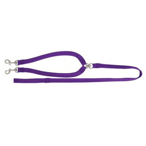 2-Dog Nylon Walkers with Lead