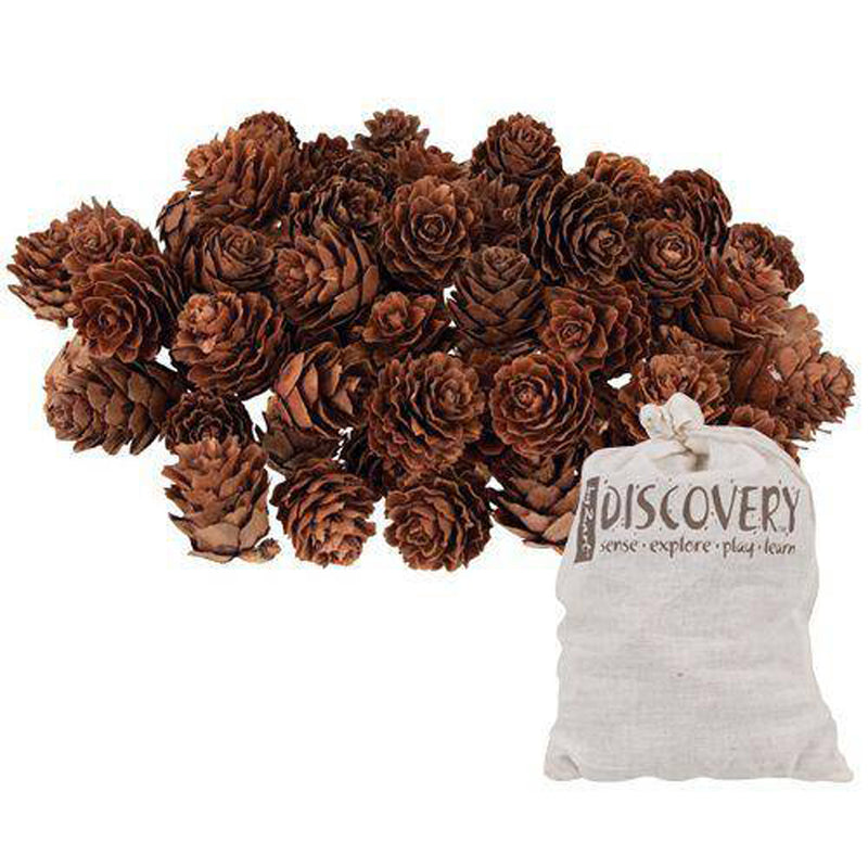 Mini Pine Cones 190g