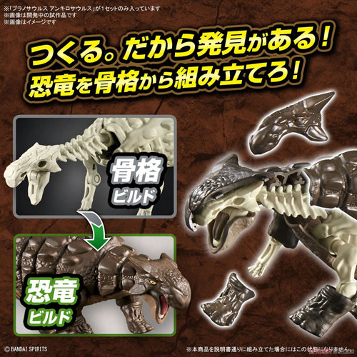 Plannosaurus Ankylosaurus Model