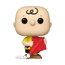 Peanuts Charlie Brown with Kite Pop! Vinyl