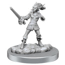 D & D Nolzurs wunderbare Miniatur