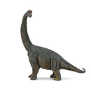 CollectA Brachiosaurus Dinosaur Figure