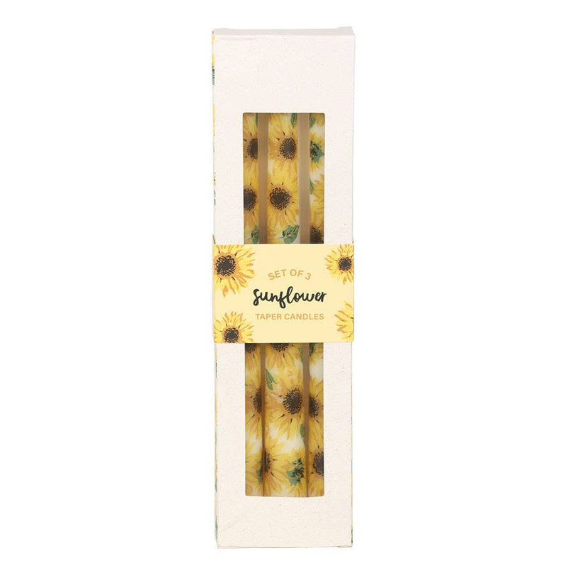 Sunflower Unscent Taper Candles (Set of 3)