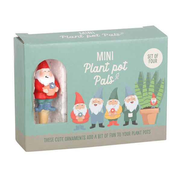 Mini Gnome Plant Pot Pals (Set of 4)