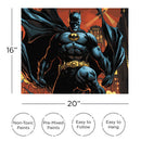DC Comics Batman Art By Numbers