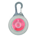 SpotLit LED Karabiner Clip Light Eco Pack