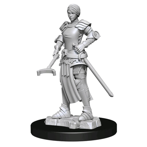 WizKids Deep Cuts Unpainted Miniatures Towns People Castle 2