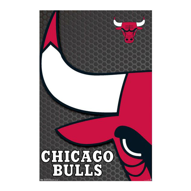 NBA Chicago Bulls-Plakat