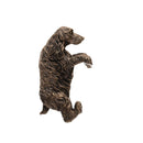 Amis pots en bronze antique de Jardinopia