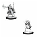 D&amp;D Nolzurs Miniatures non peintes