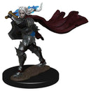 Pathfinder Battles Premium Bemalte Feige