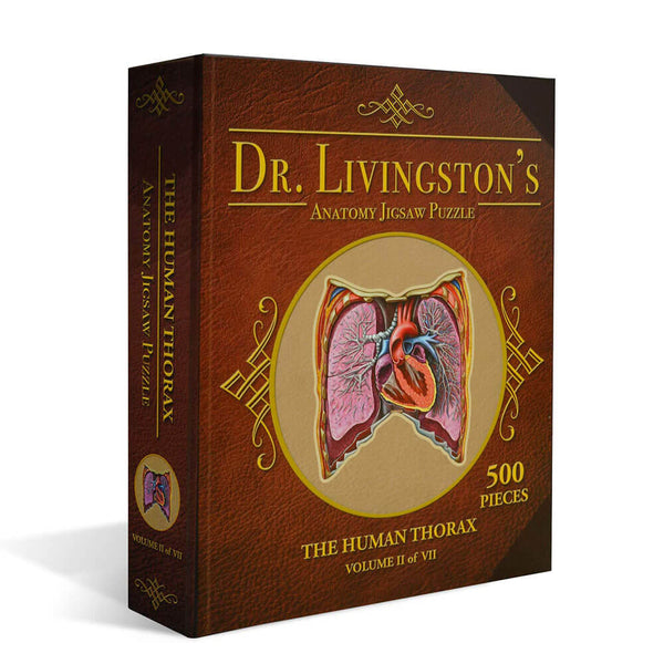 Dr. Livingston's Anatomy Jigsaw Puzzle the Human Thorax