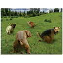 Doing Things Prank Puzzle 300tlg