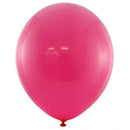 Ballons Alpen pour tout le monde 25cm (15pk)