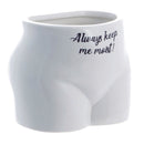 Setzen Sie einige Pflanzen auf! Blumentopf